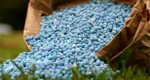 توزیع نزدیک به ۱.۵ میلیون تن کود شیمیایی در استان مازندران