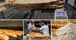 ۲۰ درصد نان در کشور ضایعات می‌شود