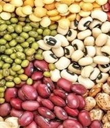 ابلاغ ممنوعیت صادرات حبوبات تا اطلاع ثانوی
