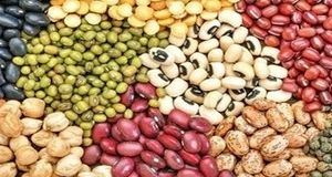 ابلاغ ممنوعیت صادرات حبوبات تا اطلاع ثانوی
