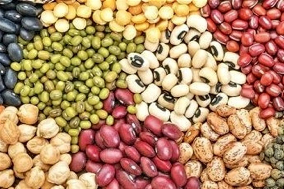 ابلاغ ممنوعیت صادرات حبوبات تا اطلاع ثانوی
