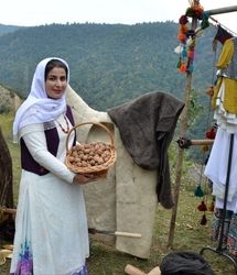 نخستین جشنواره استانی و فرهنگی عشایری برداشت گردو در روستای ارده برگزار شد