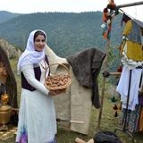 نخستین جشنواره استانی و فرهنگی عشایری برداشت گردو در روستای ارده برگزار شد