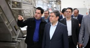 صدور مجوز احداث ۲ شهرک تخصصی صنایع تبدیلی و تکمیلی در استان اردبیل