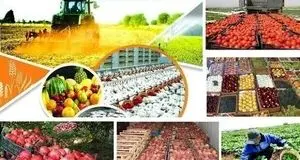 محصولات کشاورزی تا ۳ برابر افزایش قیمت یافته‌اند