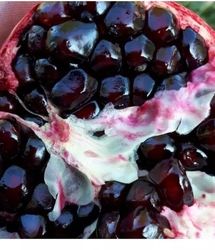 سومین جشنواره اناردانه سیاه جوشان در بخش گلباف کرمان برگزار می‌شود