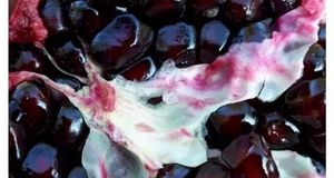 سومین جشنواره اناردانه سیاه جوشان در بخش گلباف کرمان برگزار می‌شود