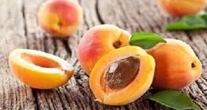 آغاز برداشت زودرس‌ترین زردآلوی استان سیستان و بلوچستان 