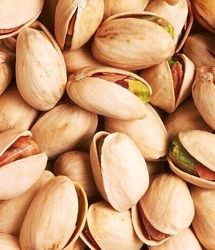 پیش بینی برداشت بیش از ۴۵۰۰ تن پسته در یزدان آباد زرند