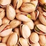 پیش بینی برداشت بیش از ۴۵۰۰ تن پسته در یزدان آباد زرند