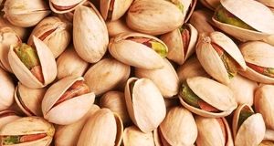 دوازدهمین جشنواره ملی پسته ایران در دامغان پایان یافت