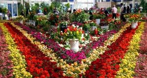 نوزدهمین نمایشگاه بین‌المللی تخصصی گل و گیاه در تبریز برگزار می‌شود