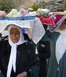 جشنواره آلو در ماسوله غرب برگزار شد