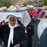 جشنواره آلو در ماسوله غرب برگزار شد
