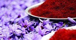 در حال حاضر یک سوم تا یک چهارم پتانسیل کشور، زعفران تولید می‌شود
