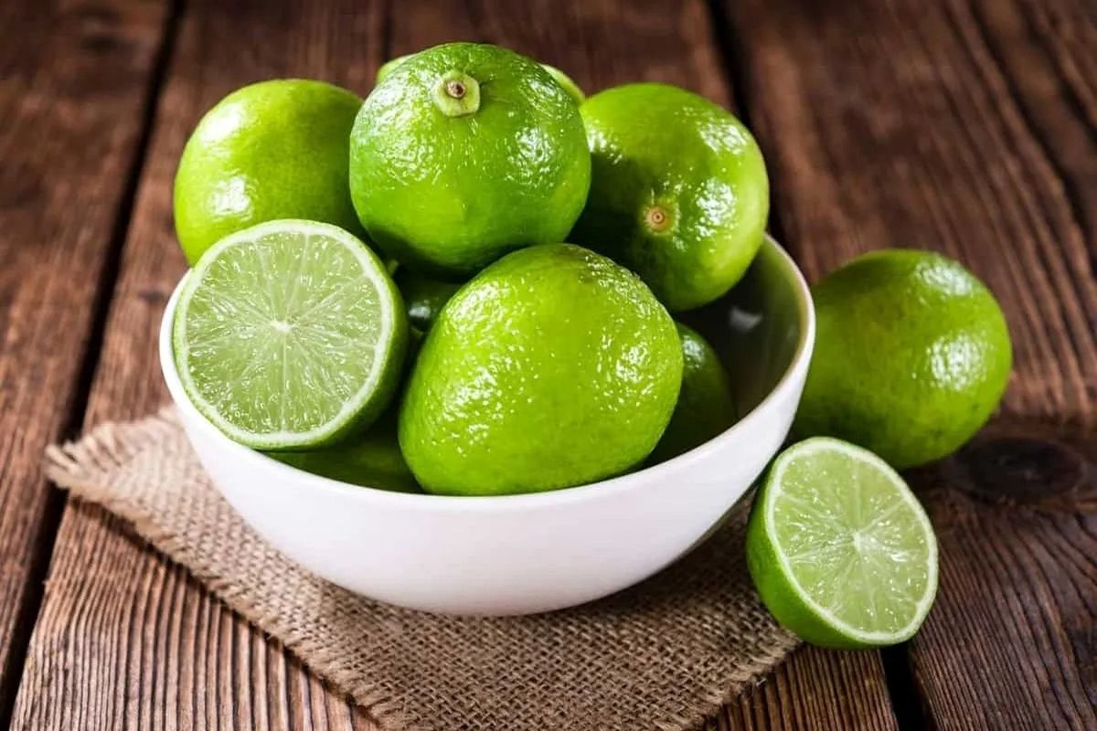 پیشبینی تولید ۸۰ هزار تن لیموترش در استان بوشهر