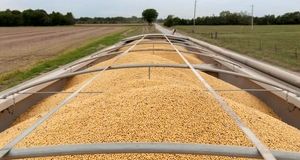 ترامپ به چین اجازه خرید سویا و محصولات کشاورزی از آمریکا داد