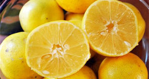 تولید ۸۶ درصد لیمو شیرین کشور در استان فارس