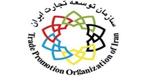 تکذیب خبر تغییر موضع سازمان توسعه تجارت در زمینه حقوق ورودی خودروهای وارداتی