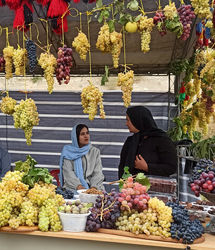 جشنواره ملی انگور در مشگین شهر برگزار شد