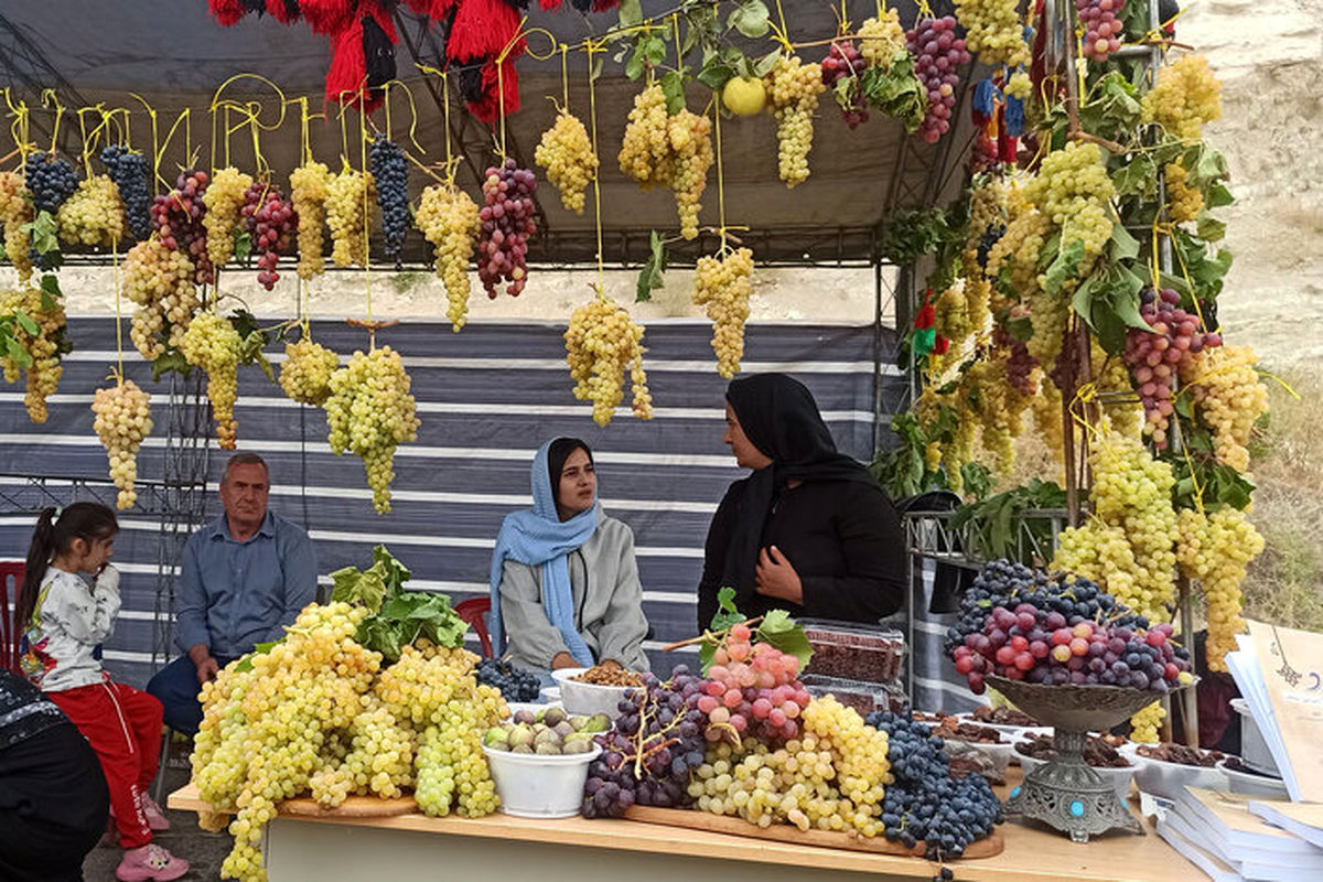 جشنواره ملی انگور در مشگین شهر برگزار شد