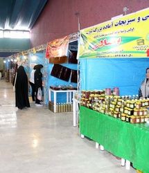 آغاز نمایشگاه مشاغل خانگی در بروجرد