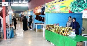 آغاز نمایشگاه مشاغل خانگی در بروجرد